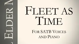 Fleet as Time (demo version)