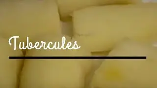 Recette tubercules - manioc simple et facile ♡