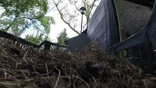 Bumblebees are working,Bumblebees are working,TRZMIELE w akcji