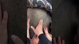 Masha Allah ❤️❤️ Alhamdulillah 
