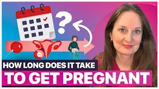 How Long Does It REALLY Take to Get Pregnant?
