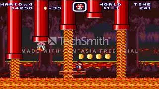 Mario Forever Westside Island World 11