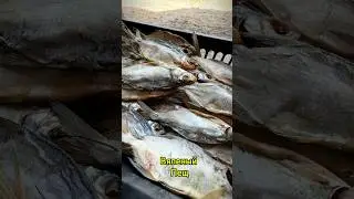 Лещ готов к продаже 🐟 