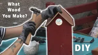 DIY Bird Feeder from Scrap Wood | What Wood You Make, Oct 2023
