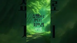 감성적인 지브리와 낭만주의 쇼팽의 만남✨