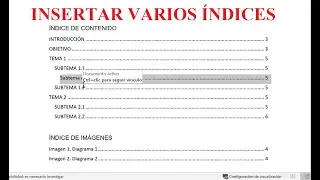 Como insertar varios índices en un documento de Word para Tesis (365, 2016)  2024 Fácil y rápido