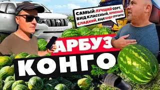 Арбуз Конго 🍉🚛💸
