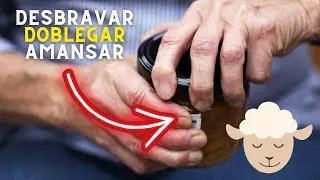 ¿Cómo desbravar, doblegar o amansar a una Persona, para pedirle algo?