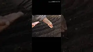 Урон жана себууго даярдоо ыкмасы тууралуу керектуу маалыматты издоо.5-класс Технология