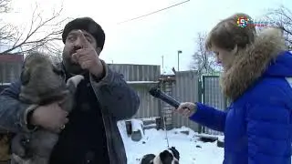 Человек собаке друг?