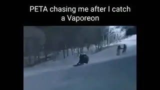 PETA chasing me after I capture a Vaporeon