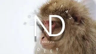 Dj Dark - Mwaki (Extended) | Zerb ft. Sofiya Nzau - Mwaki (Dj Dark Remix)