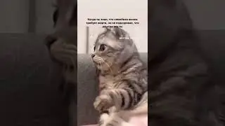 🤣🤣🤣🤣