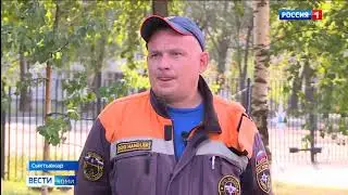 Как не заблудиться в лесу  советы от спасателей