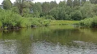 Нижнее течение Вори.