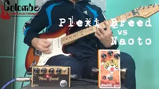 Plexi Breed Vs. Naoto - Top seller Colombo Audio Electronics pedals
