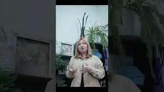 Дофаминовая петля: что это?