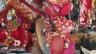 Jai Mata Di
