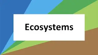 Ecosystems