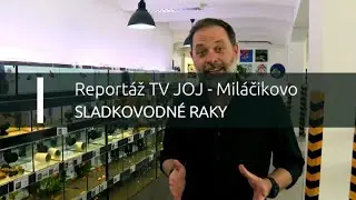 Reportáž TV JOJ - Miláčikovo - Sladkovodné raky