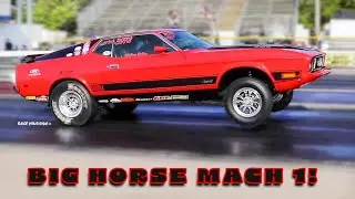 BIG HORSE BATTLE: '73 MACH 1 MUSTANG VS TWIN TURBO '72 NOVA AND SUPER PRO '68 FAIRLANE!