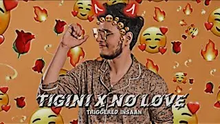 Tigini X No Love | FT. @triggeredinsaan *Don't miss this edit*