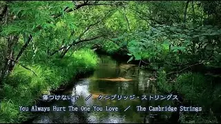 傷つけないで　／　ケンブリッジ・ストリングス