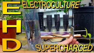 How To Build An EHD Generator For Plasmaculture