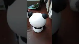 новый член семьи?