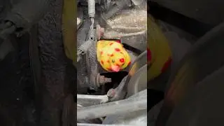 Jeep Duck Durability Test