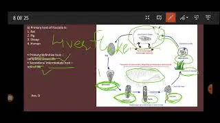 DU MSc Zoology Entrance 2021 solution (part 1)