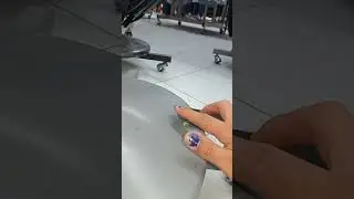 spot