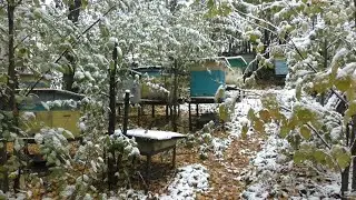 Октябрь и первый снег на пасеке