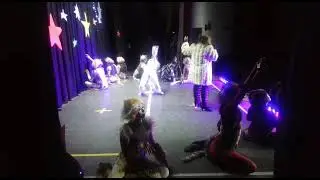ENTRE TANGOS Y GATOS