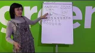 Коротко о возможностях Greenway