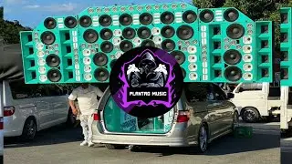 La Lengua - Wilman Peña ❌️ tipico con cálida para musicologos.