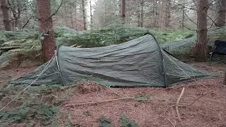 Solo camping in a pine forest