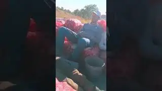 Что снится фермеру...