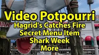 What's New at Universal Studios Orlando | Fire On Hagrid's! | Shark Week