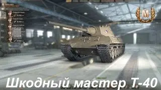 ШКОДный Мастер Т-40