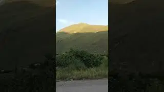с.шиназ