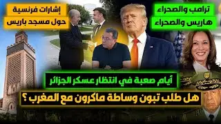 ترامب والصحراء ..هاريس والصحراء..أيام عسكر الجزائر الصعبة..هل طلب تبون وساطة ماكرون مع المغرب؟