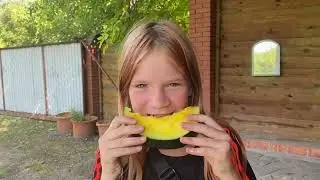 Кавун Шуга Еллоу і АУ Продюсер дозрів 2.08.24