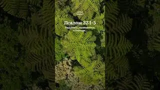 Псалом 32:1-5 современный перевод Библии #shorts