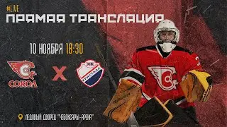 10.11.2023 ХК Сокол VS ХК Кристалл