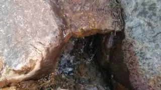 Lure steder 2_1.wmv