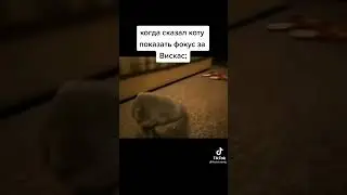 мем