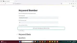 AI Keyword Analysis - Yapay Zeka Analiz Raporu