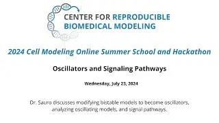 2024 Summer School & Hackathon - Day 3.2 - Oscillators and Signaling Pathways