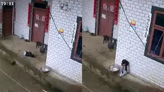 【完整版】好想抱抱你~“奶奶出門了，他不敢一個人上床睡！”2歲孩童雨天躺在屋簷下席地而睡，單親媽媽因疫情被困上海，隔著監控看得心碎😭【真相記】